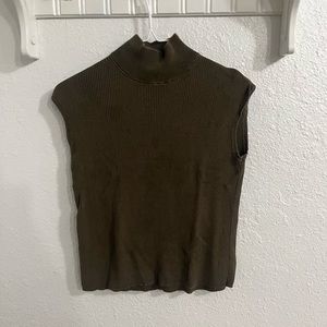 Brown turtle next top